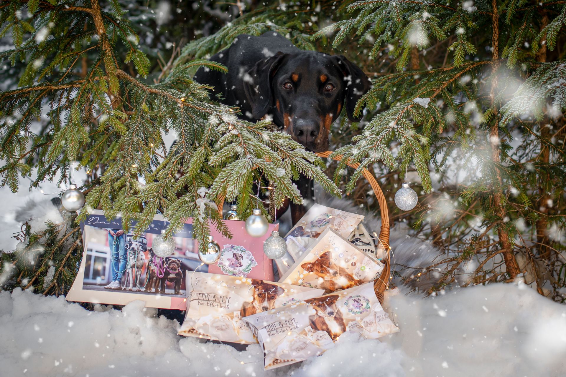 Weihnachtsbox Gassi gehen &amp; Gassitasche Surprise großer Hund Rüde